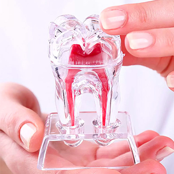 endodontia